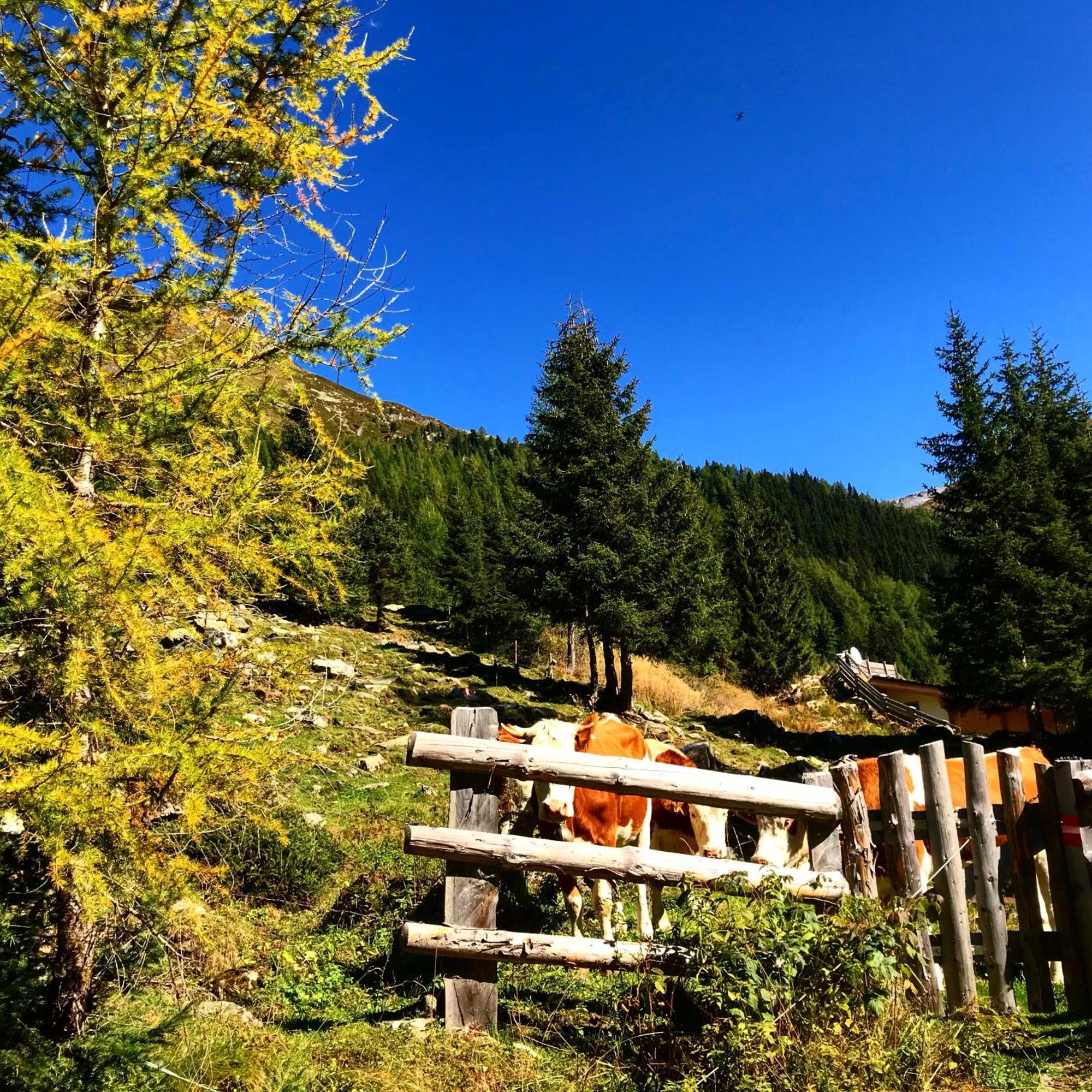 Berghaus Aussergschloess Matrei in Osttirol Buitenkant foto