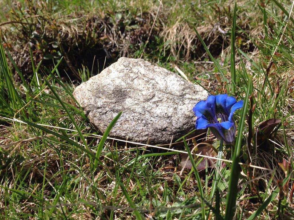 Berghaus Aussergschloess Matrei in Osttirol Buitenkant foto